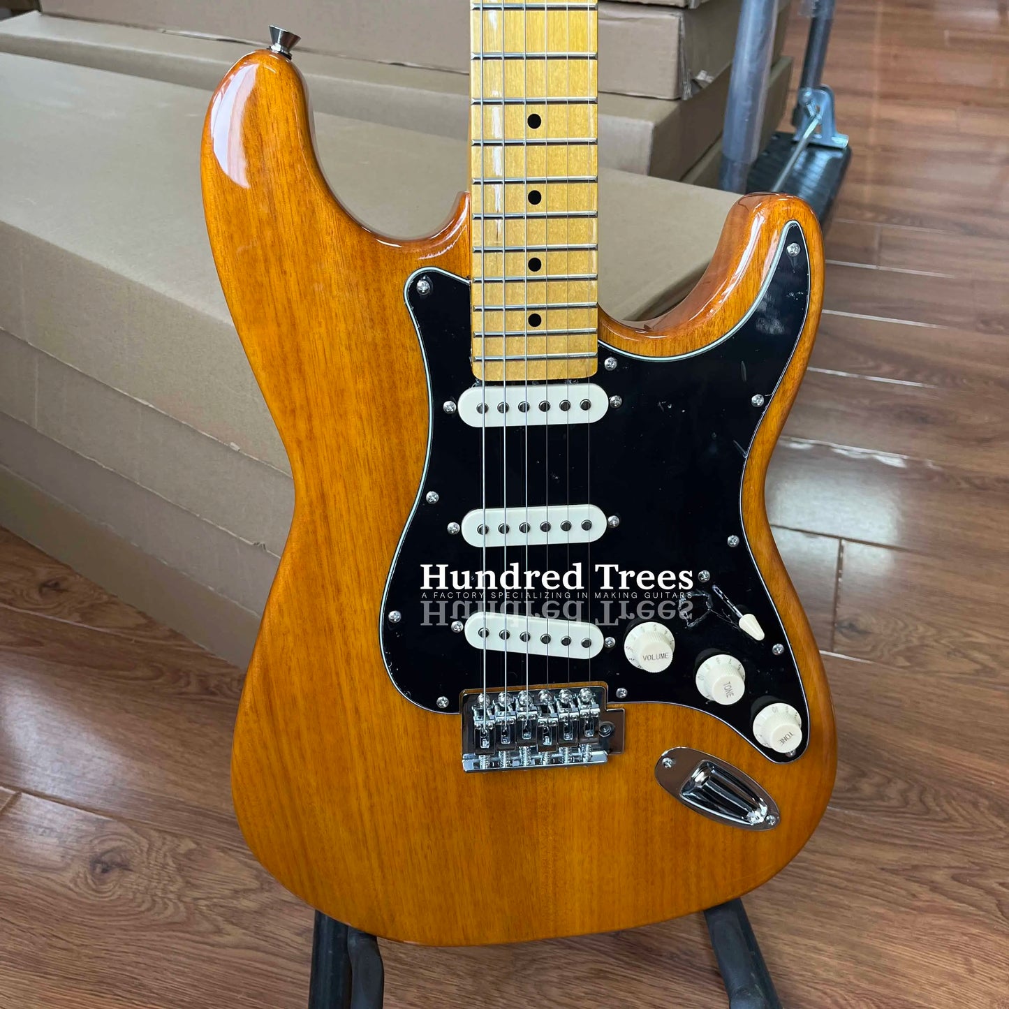 Electric Guitar