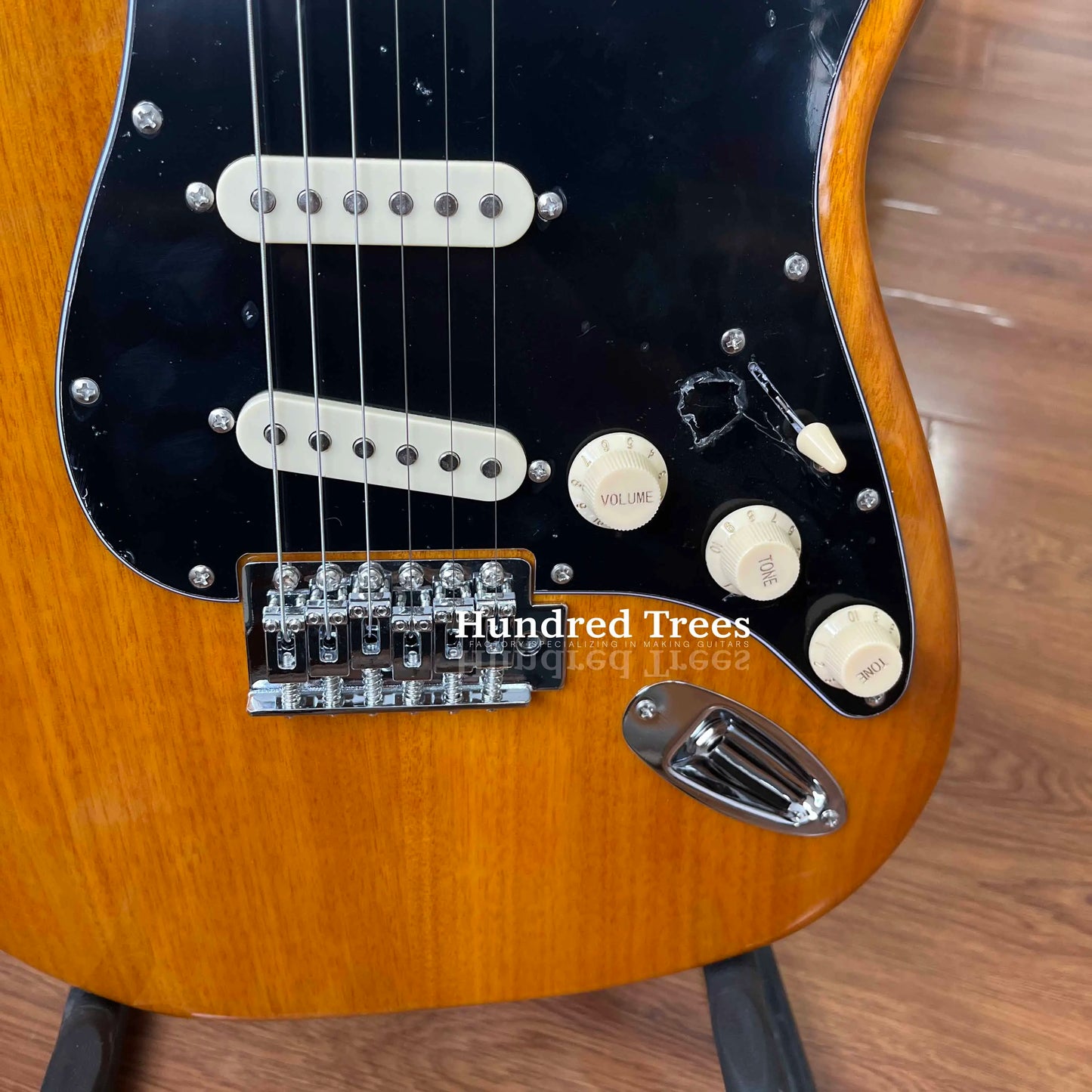 Electric Guitar