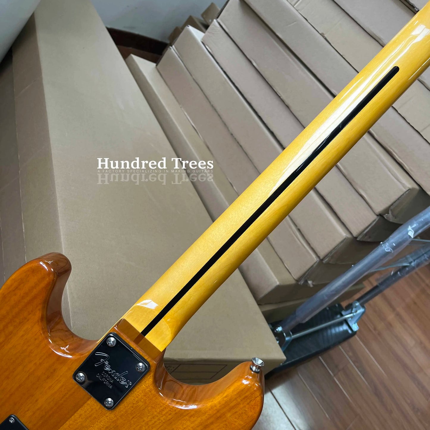 Electric Guitar