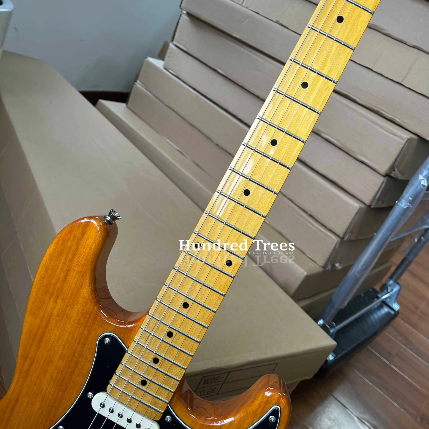 Electric Guitar